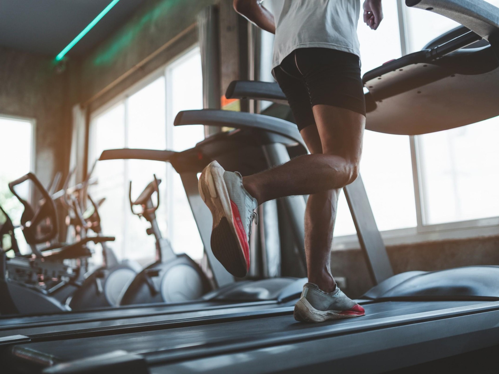 Established Darwin Gym & 689164 3