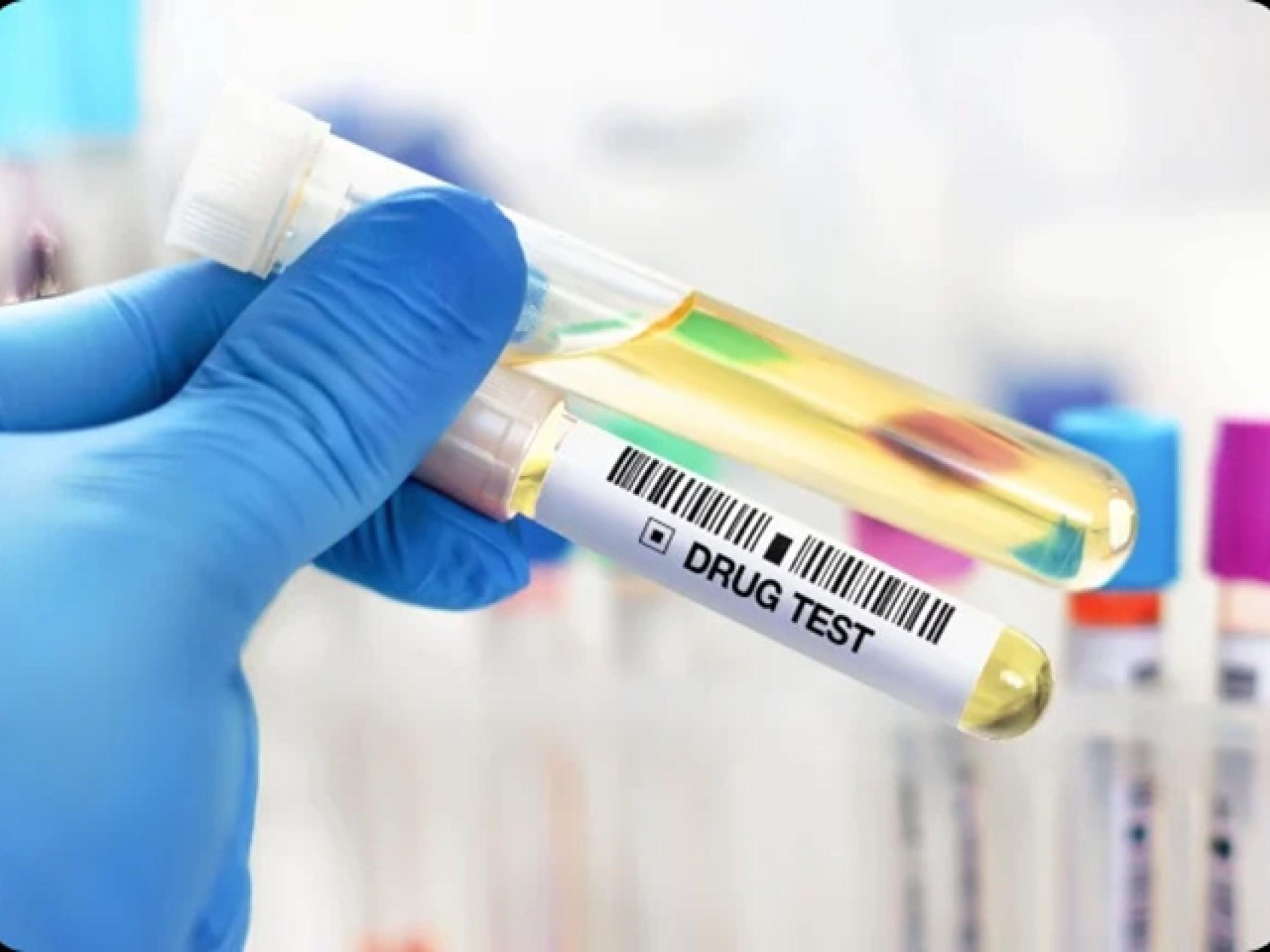 Drug/alcohol Testing And First 689168 2