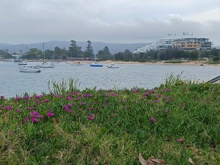 ESTABLISHED LICENSED CAFE & BAR - SHORT TRADING HOURS - PRIME ETTALONG BEACH LOCATION