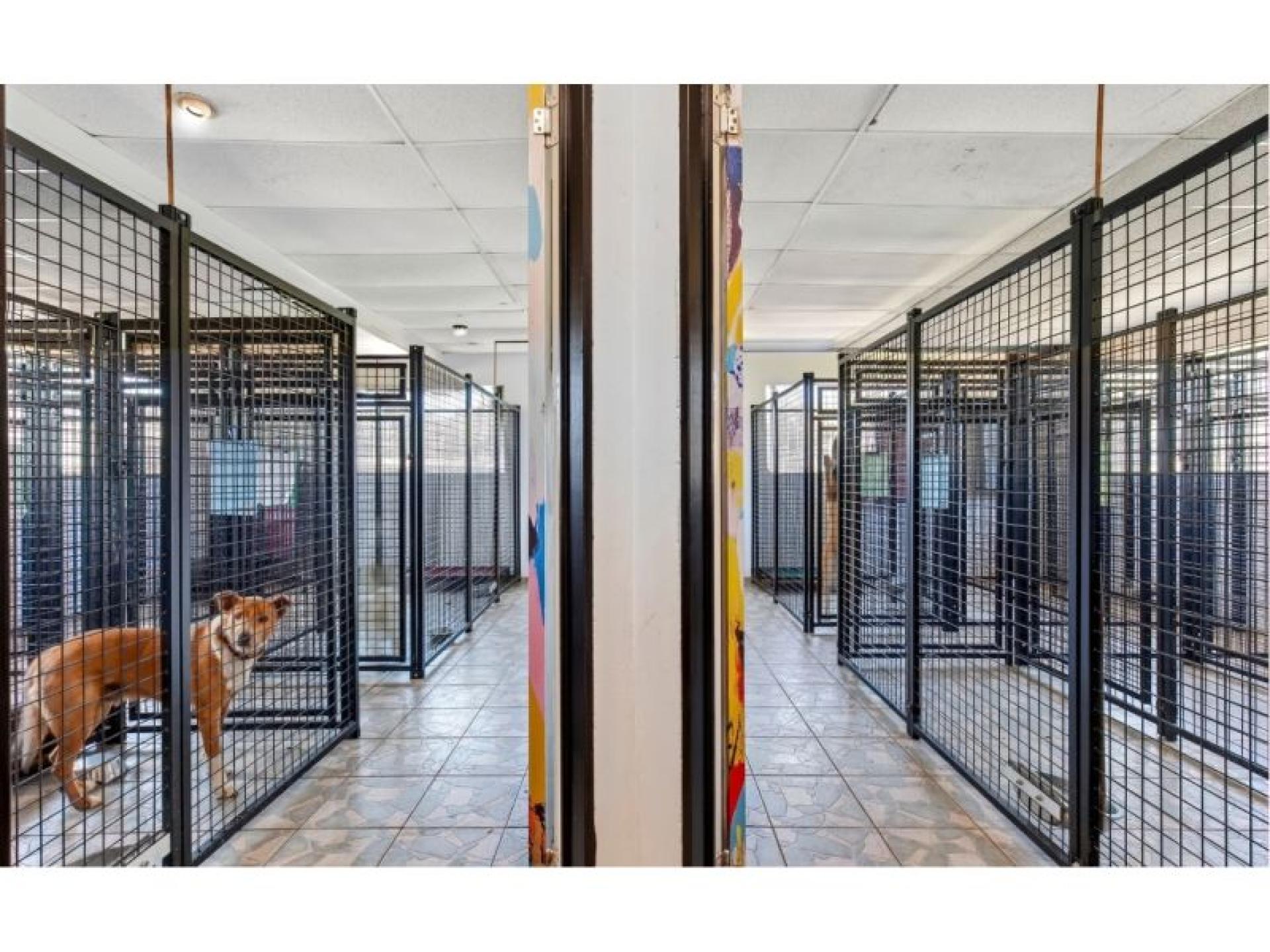 26 Acres Established Pet 689462 3