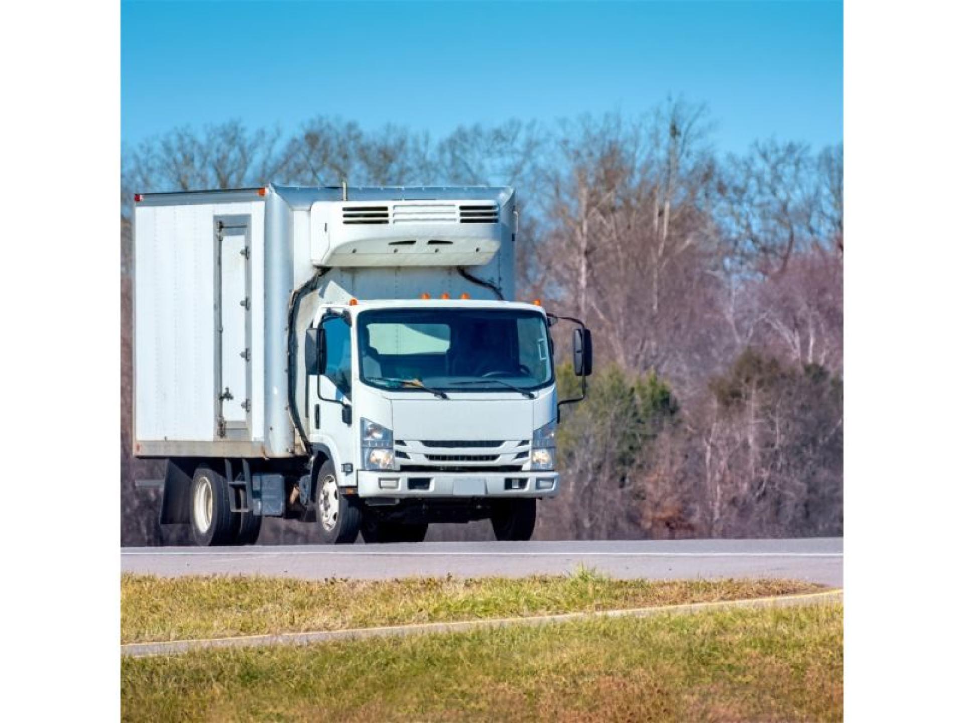 Established Refrigerated Transport Business 689467 1