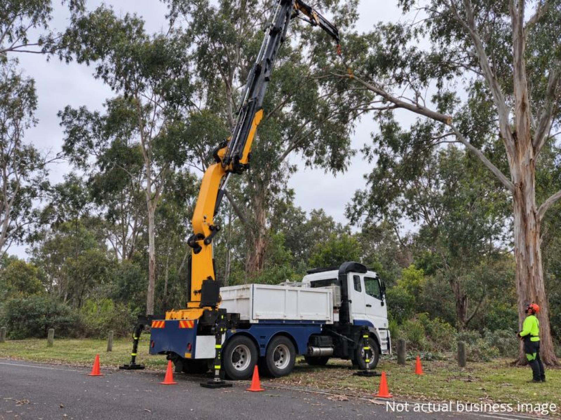 Highly Profitable Tree Services 689537 1