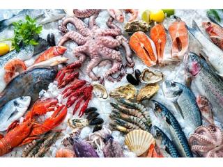 RETAIL SEAFOOD OUTLET – STRONG HISTORY!