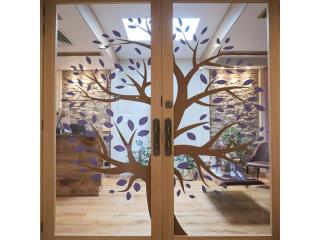 Wellness Centre and Property
