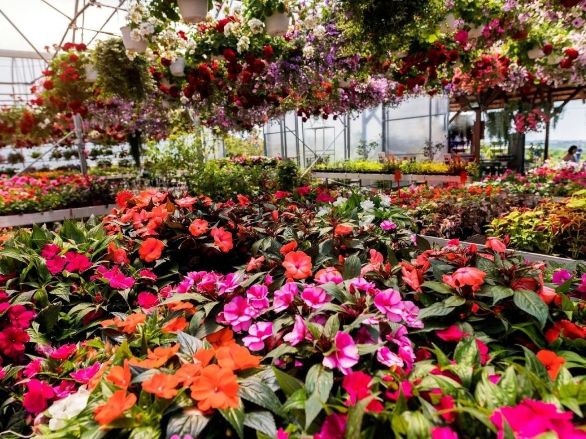 Established Garden Centre And 689690 1