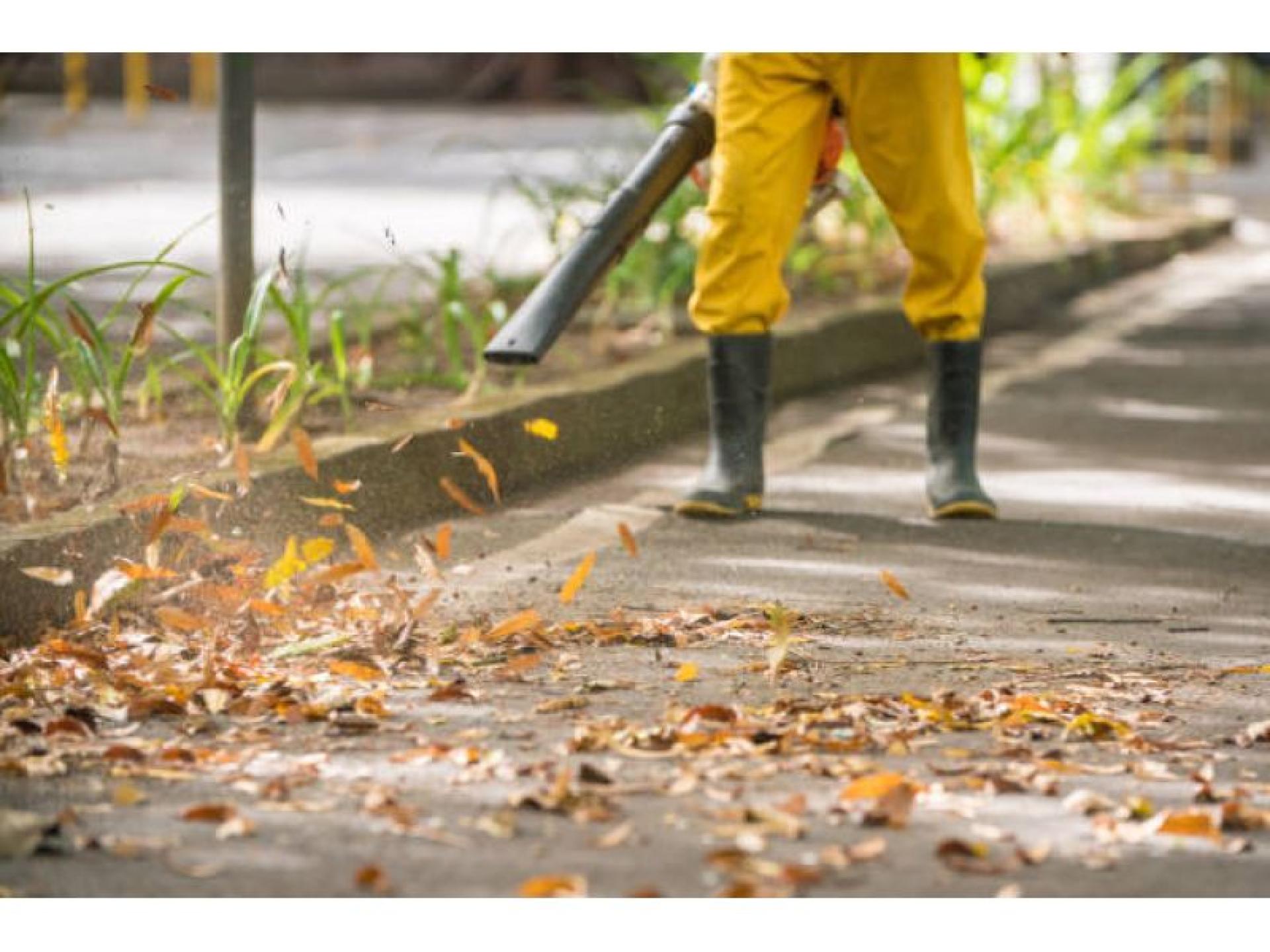 A++ Lawn And Garden 689879 2