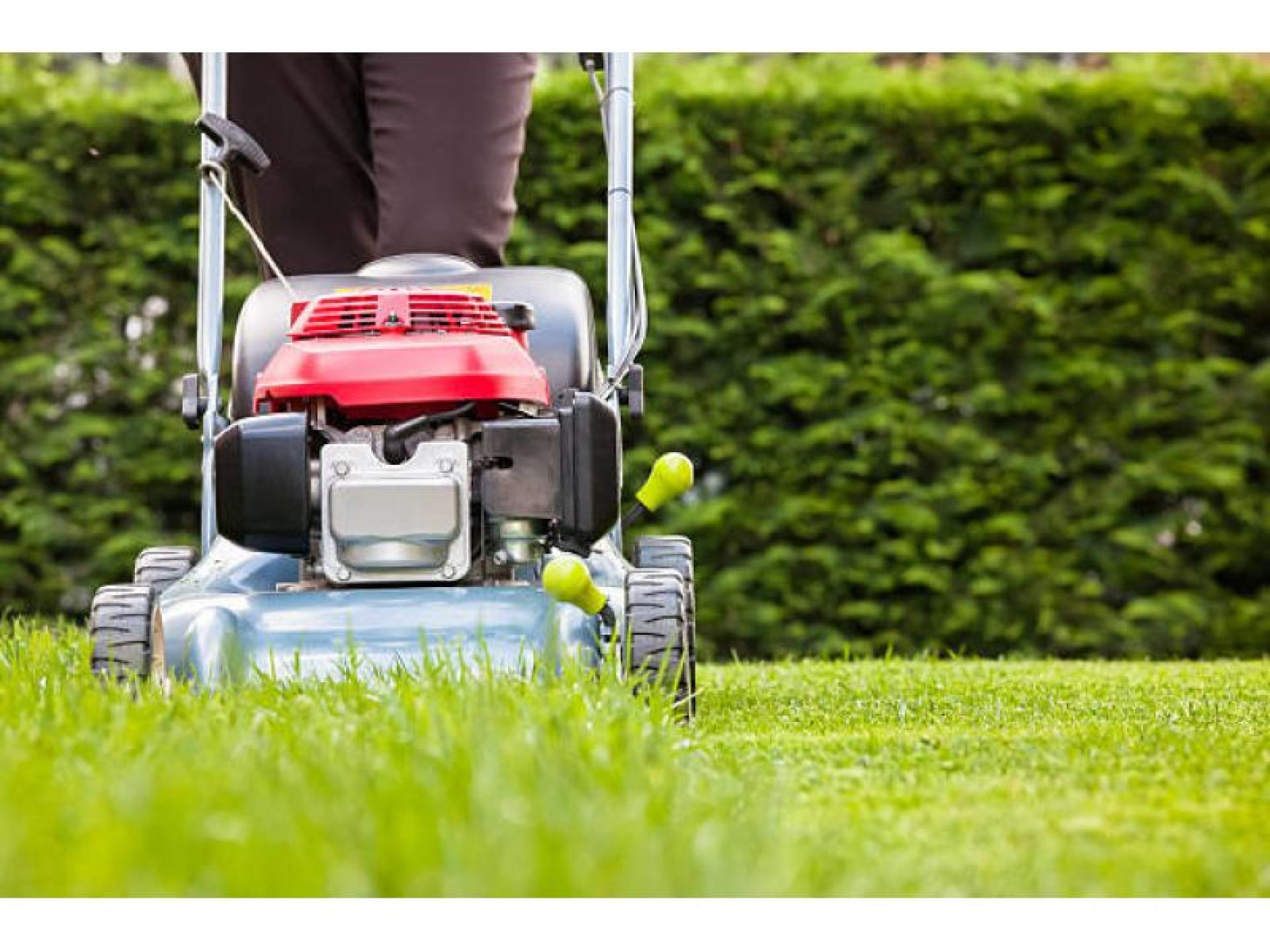 A++ Lawn And Garden 689879 1
