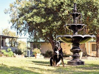 Tavern, Pub & Accommodation – Regional WA Investment Opportunity