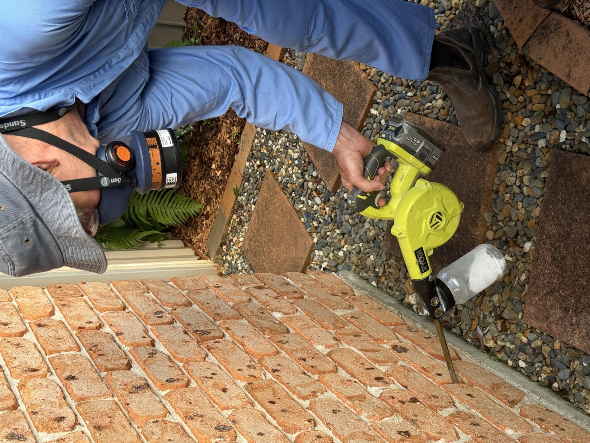 Pest Control 690061 3