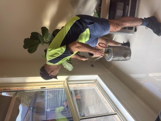 Pest control
