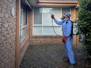 Established Pest Control 16 Years Trading