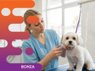 37281 Profitable Dog Grooming Salon With Established Clientele