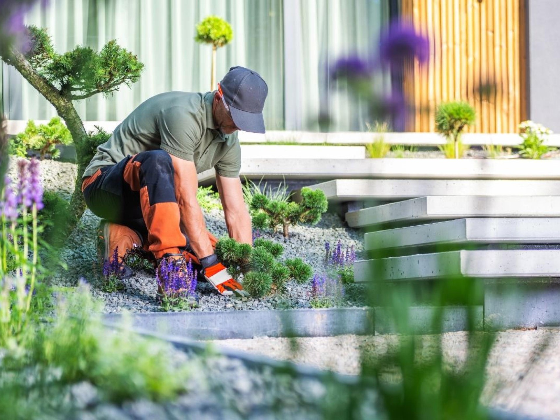 Combined Horticulture & Landscaping 690204 3