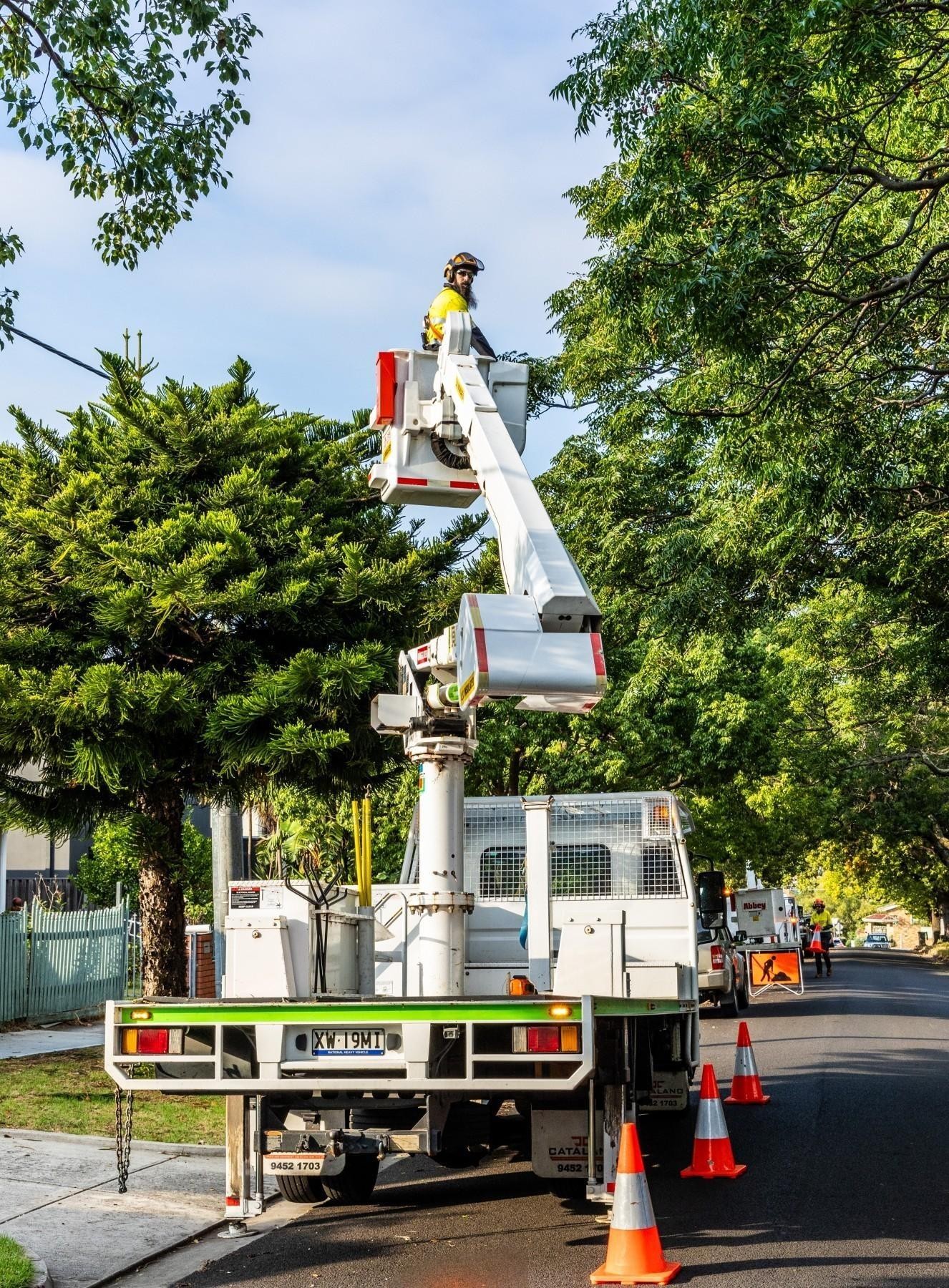 Vegetation Maintenance Municipal Contractor 690265 3