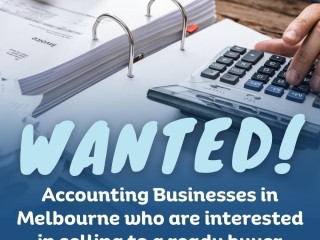 Wanted Business Accounting Practice