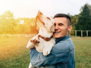 Online Pet Product Wholesaler/Distributor and Supplier #438
